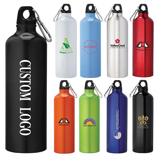 Stainless Steel Water Bottles