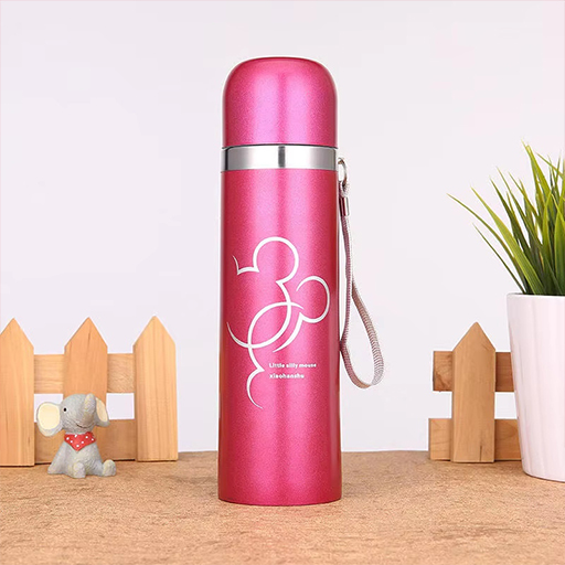 Stainless Steel Water Bottles